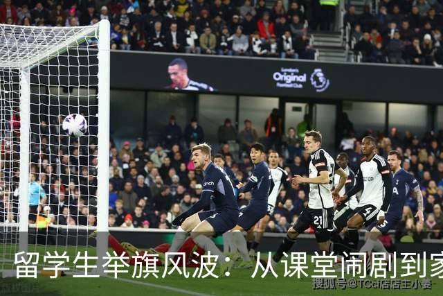 留学生举旗风波：从课堂闹剧到家族洗白大戏